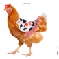 Hühnersattel / Hühnerschürze Motiv 10