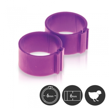 Clip-Ring 6mm violett Einzel