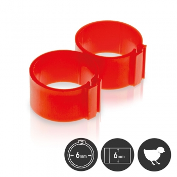 Clip-Ring 6mm rot 25er Pack