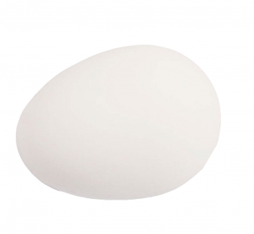 Gips Eier für Gänse