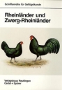 Rheinländer und Zwerg-Rheinländer